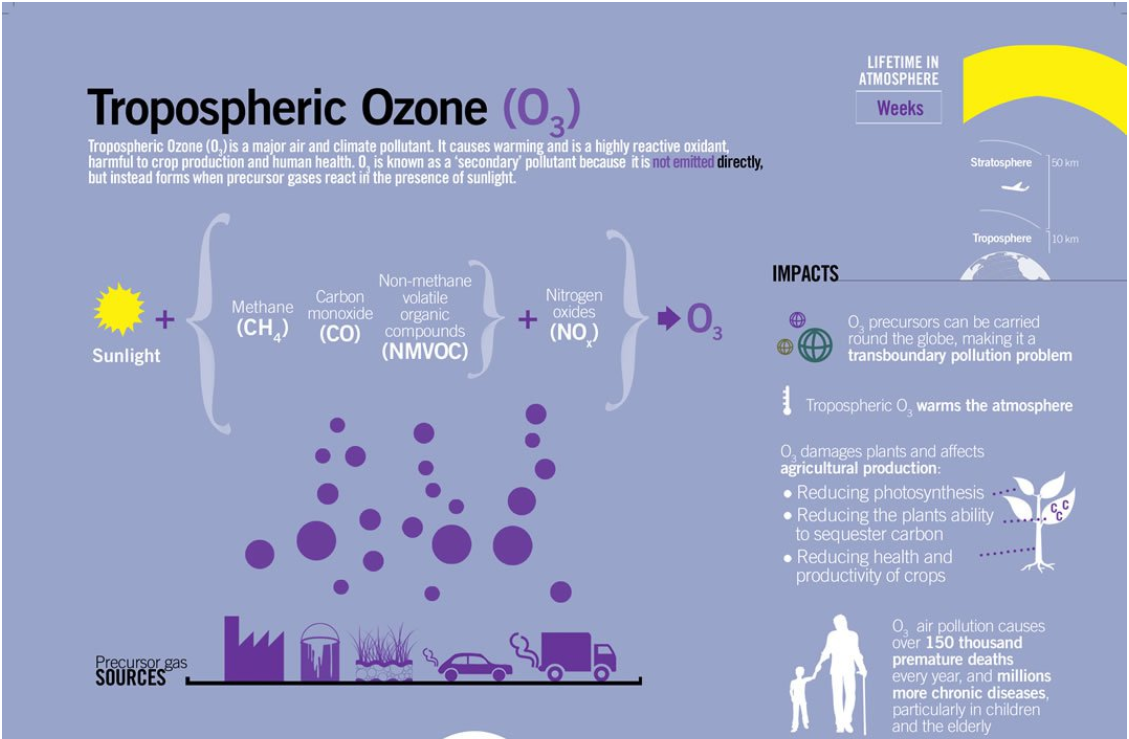 Tropospheric Ozone