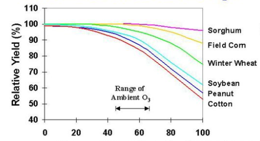 Effect on Crop Yield